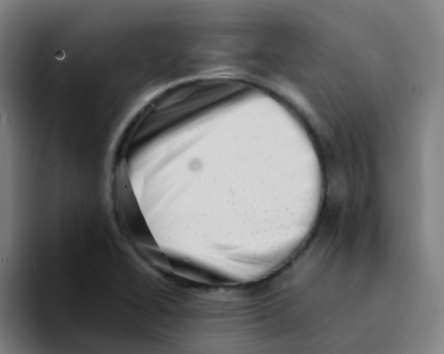 X0000094201414200711161759