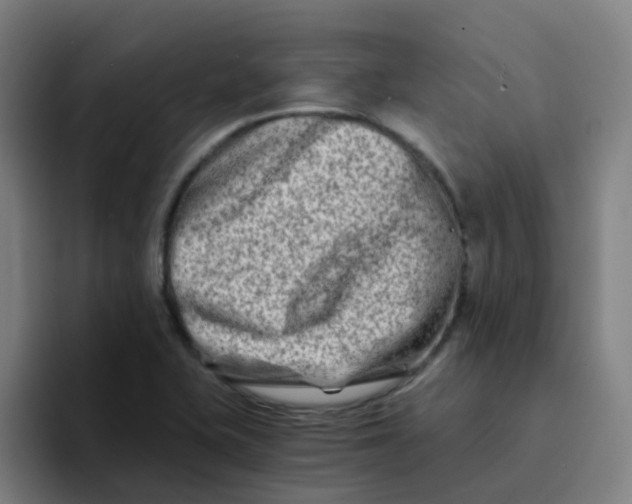 X0000094201415200711161759