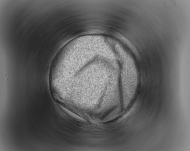 X0000094201417200711161759