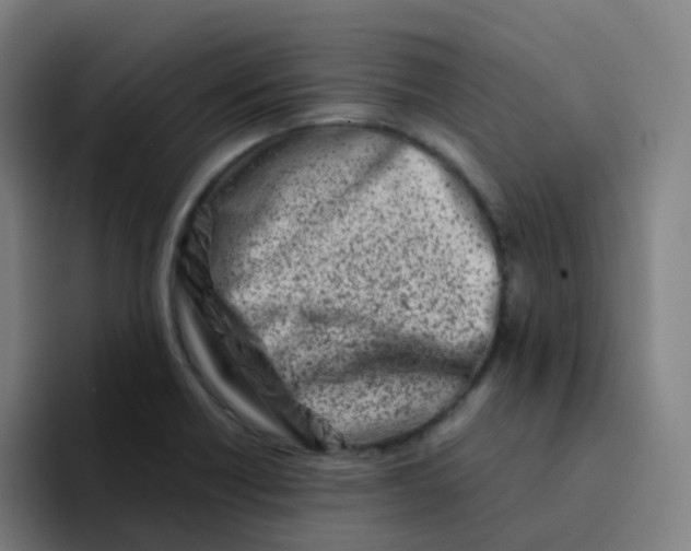 X0000094201418200711161759