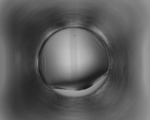 X0000094201419200711161759