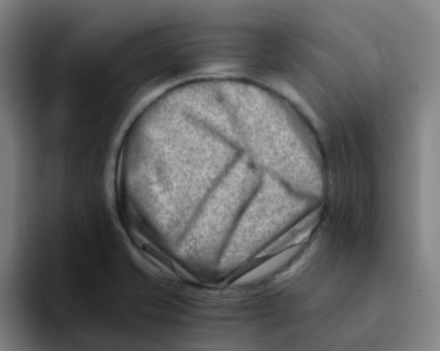 X0000094201421200711161759