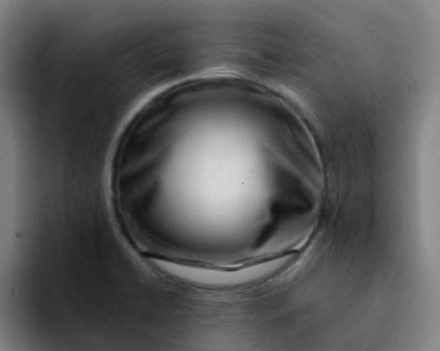 X0000094201422200711161759