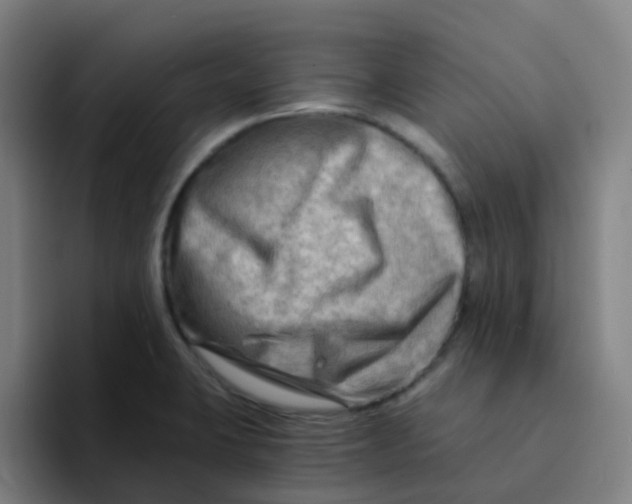 X0000094201423200711161759