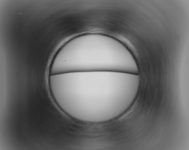 X0000094201424200711161759