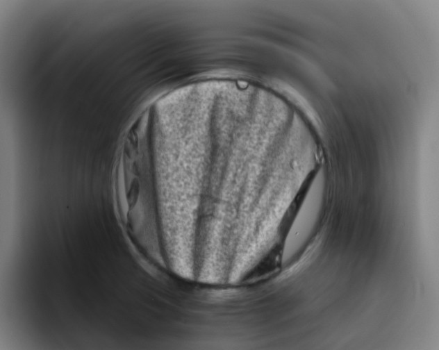 X0000094201425200711161759