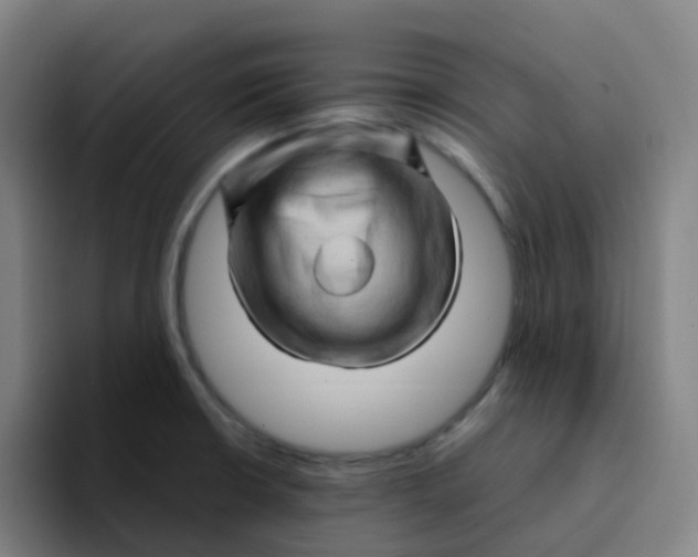 X0000094201426200711161759