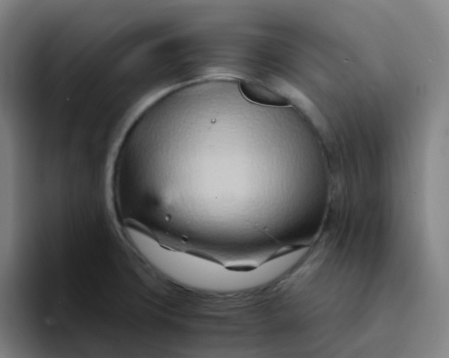 X0000094201427200711161759