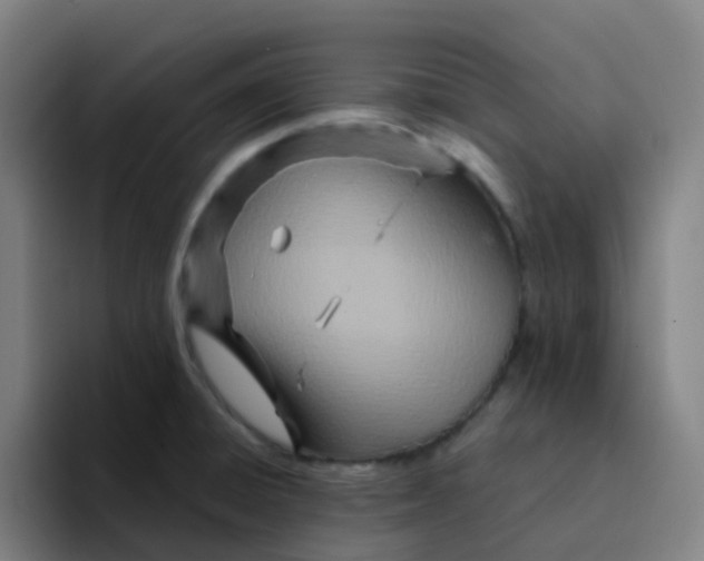 X0000094201428200711161759