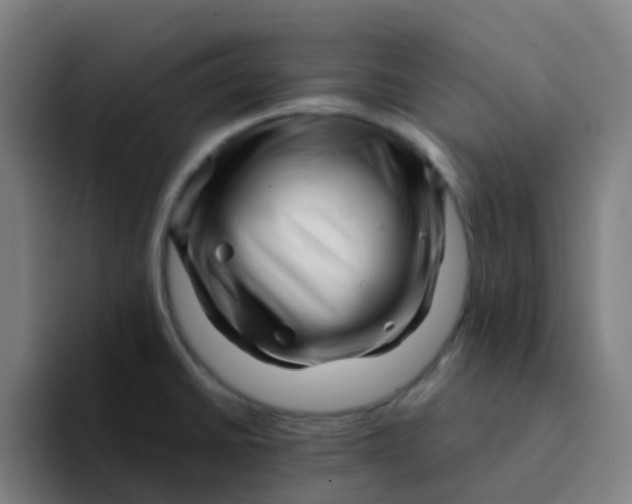 X0000094201430200711161759