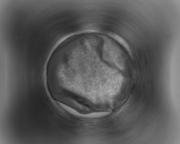 X0000094201431200711161759