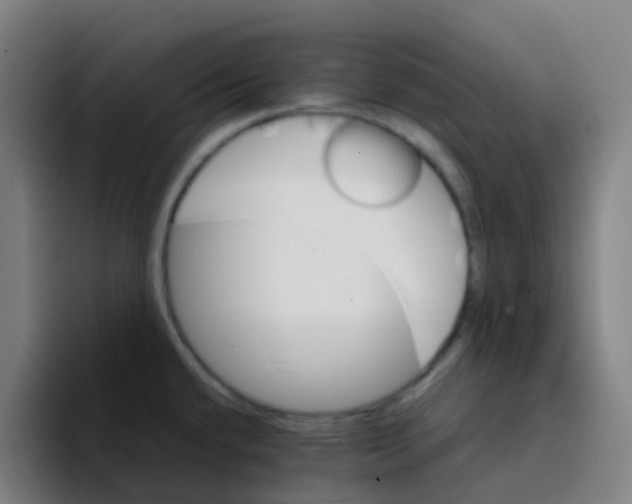 X0000094201432200711161759