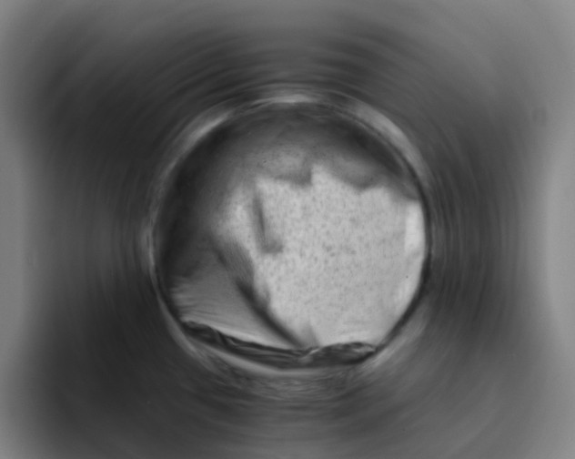 X0000094201433200711161759