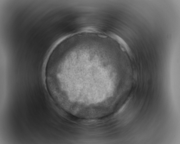 X0000094201435200711161759