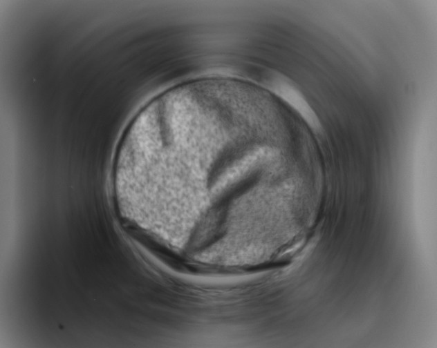 X0000094201436200711161759