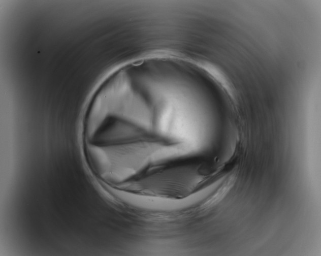 X0000094201438200711161759