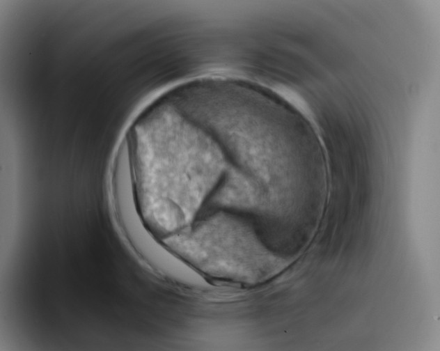 X0000094201440200711161759