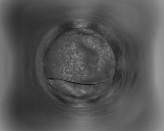 X0000094201441200711161759