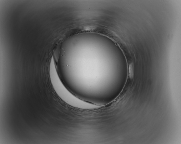 X0000094201443200711161759