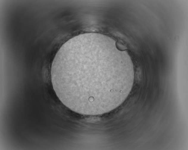 X0000094201446200711161759