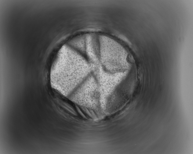 X0000094201448200711161759