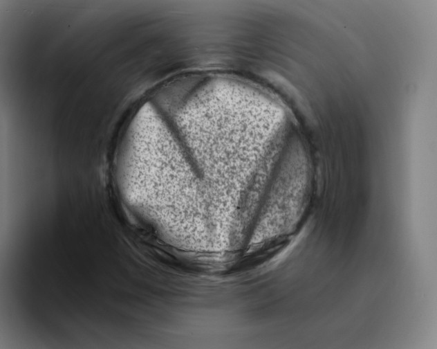 X0000094201449200711161759