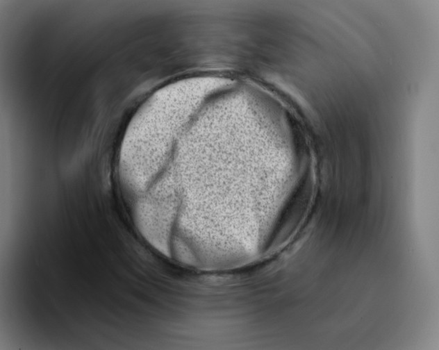 X0000094201451200711161759