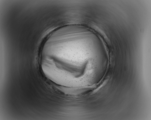 X0000094201453200711161758