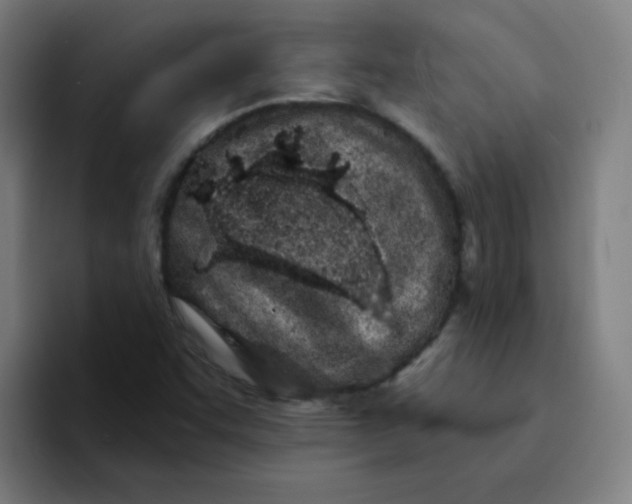 X0000094201455200711161758