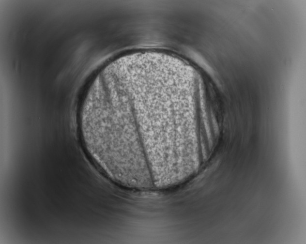 X0000094201456200711161758