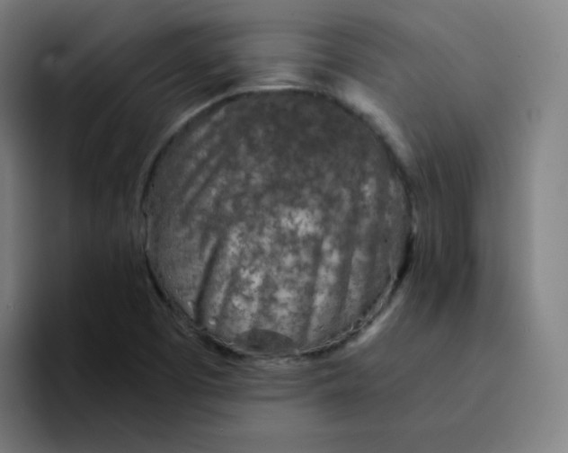 X0000094201457200711161758