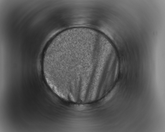 X0000094201458200711161758