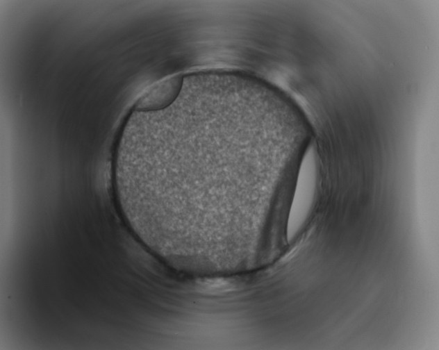 X0000094201459200711161758