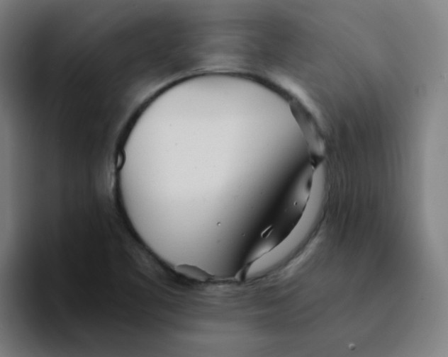 X0000094201461200711161758