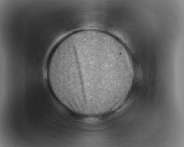 X0000094201462200711161758