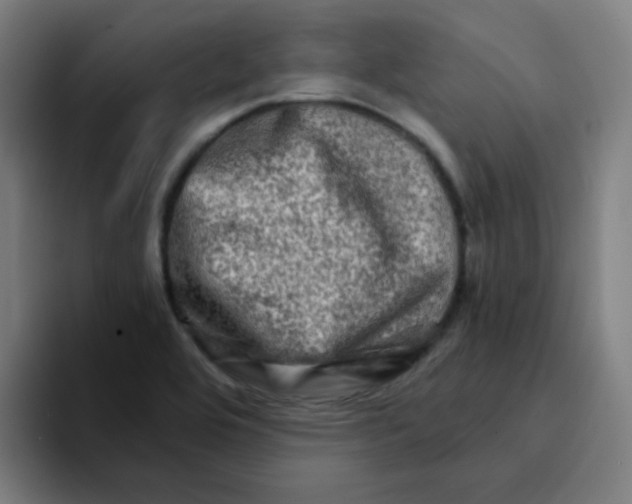 X0000094201464200711161758