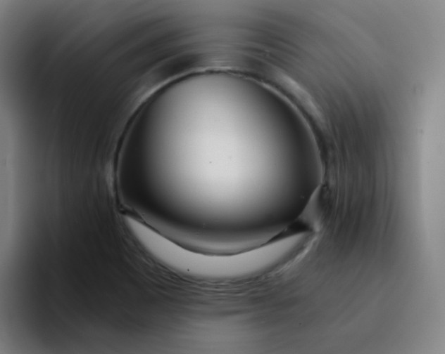 X0000094201465200711161758