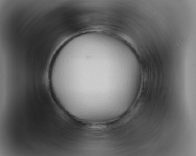 X0000094201466200711161758