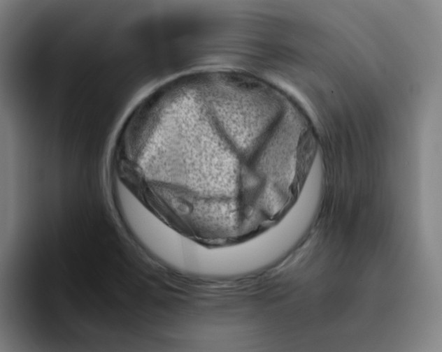 X0000094201467200711161758