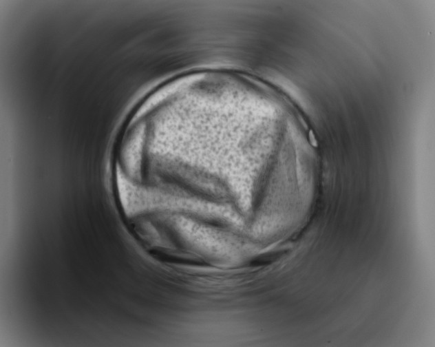 X0000094201468200711161758