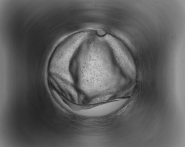 X0000094201471200711161758