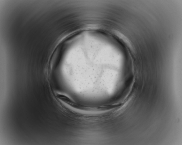 X0000094201473200711161758