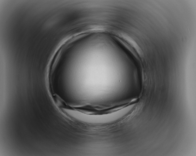 X0000094201475200711161758