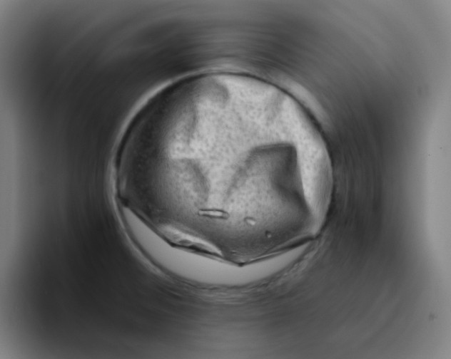 X0000094201476200711161758