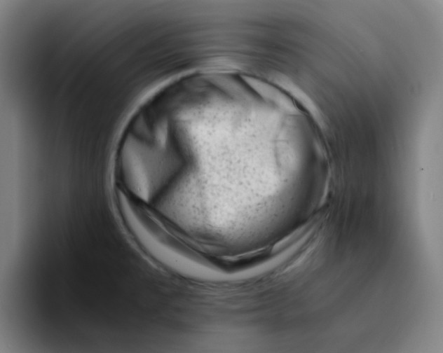 X0000094201477200711161758