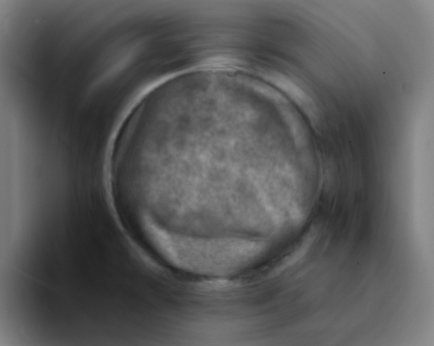 X0000094201478200711161758