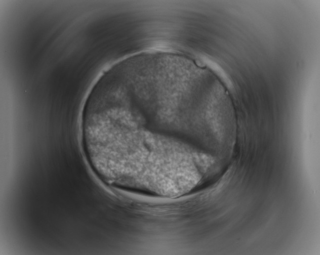 X0000094201479200711161758