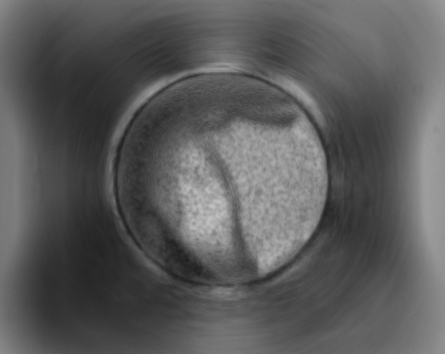 X0000094201480200711161758