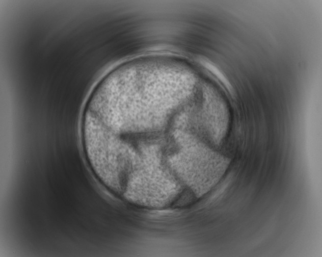 X0000094201482200711161758