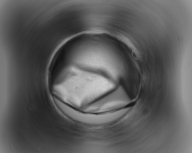 X0000094201484200711161758